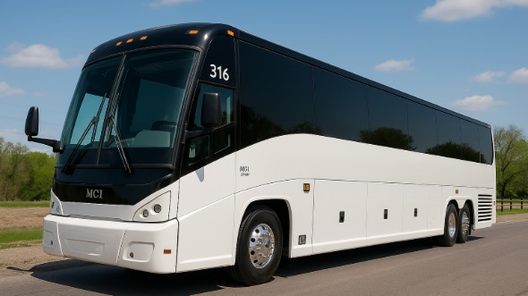 brooklyn bus rentals for birthday sweet 16