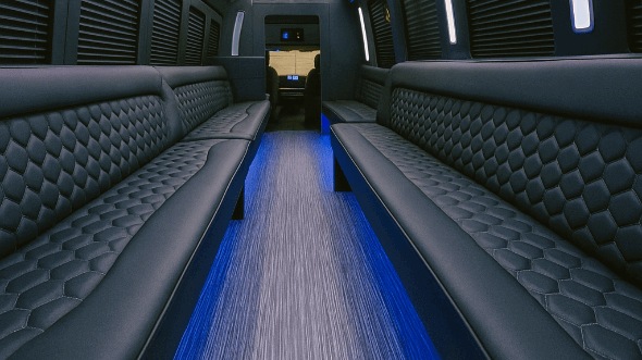 manhattan 20 passenger party bus