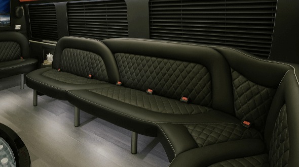 new york 14 passenger sprinter limousine interior