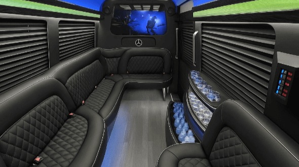 new york 15 passenger party bus rental