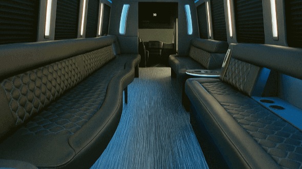 new york 30 passenger party bus rental